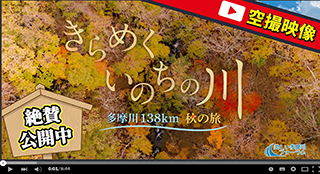 きらめくいのちの川