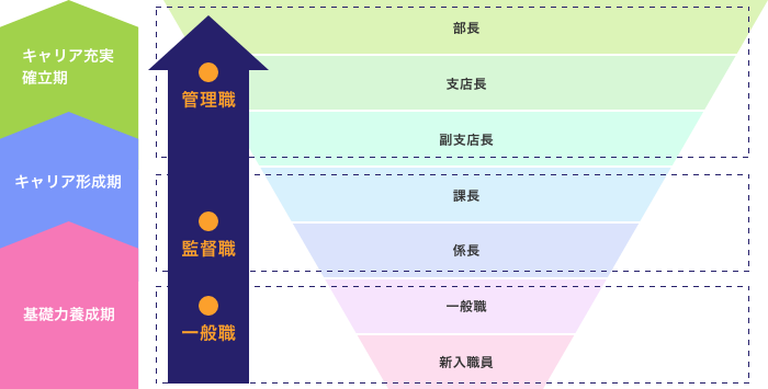 キャリアパスモデル